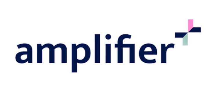 Close-up of the word 'amplifier' written in dark blue with an abstract graphic design in pink, blue, and red next to it.